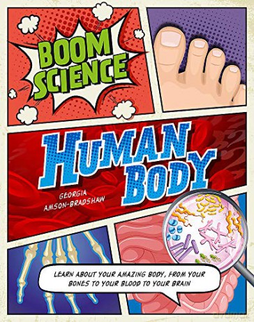 Human Body (BOOM! Science) - Georgia Amson-Bradshaw [KSIĄŻKA]