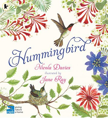 Hummingbird - Nicola Davies [KSIĄŻKA]