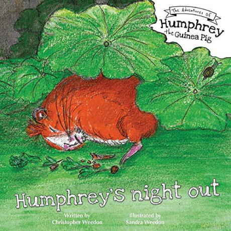 Humphrey's night out - Christopher Weedon [KSIĄŻKA]