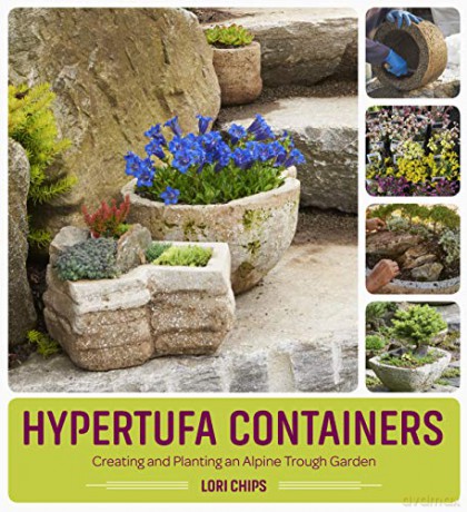 Hypertufa Containers: Creating and Planting an Alpine Trough Garden - Lori Chips [KSIĄŻKA]