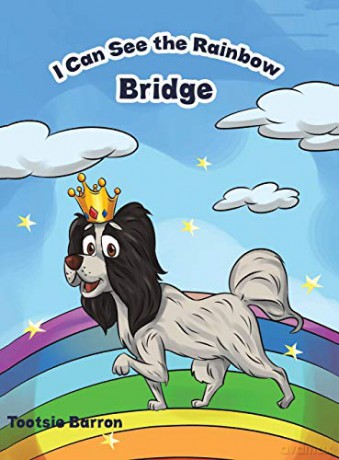 I Can See the Rainbow Bridge - Tootsie Barron [KSIĄŻKA]