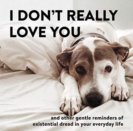 I Don't Really Love You: And Other Gentle Reminders of Existential Dread in Your Everyday Life - Alex Beyer [KSIĄŻKA]