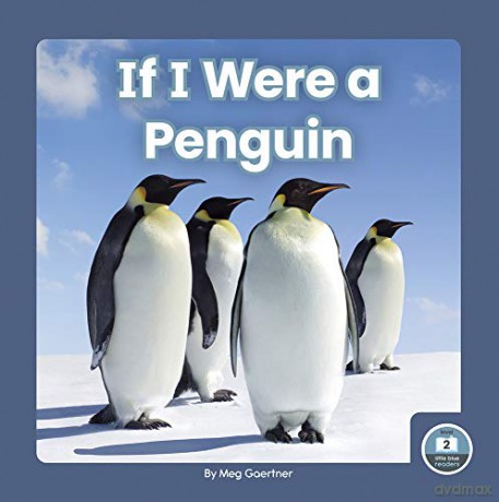 If I Were a Penguin (9781646193196) - Meg Gaertner [KSIĄŻKA]