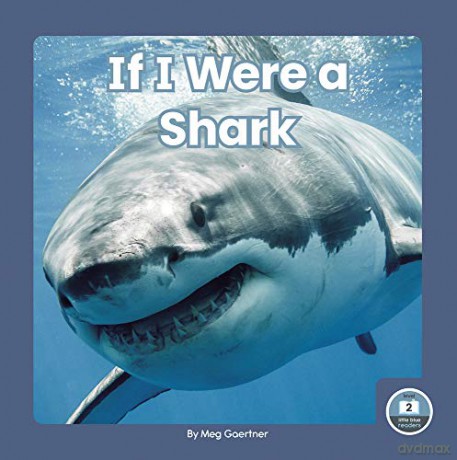 If I Were a Shark (9781646193196) - Meg Gaertner [KSIĄŻKA]