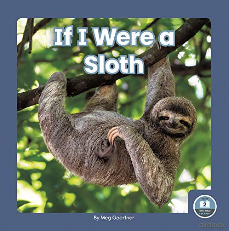 If I Were a Sloth (9781646193196) - Meg Gaertner [KSIĄŻKA]