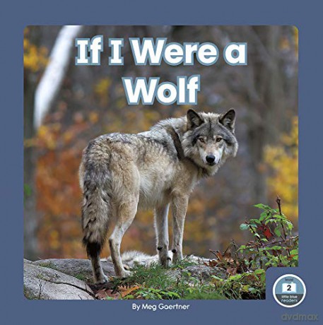 If I Were a Wolf (9781646193196) - Meg Gaertner [KSIĄŻKA]