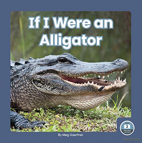 If I Were an Alligator (9781646193196) - Meg Gaertner [KSIĄŻKA]