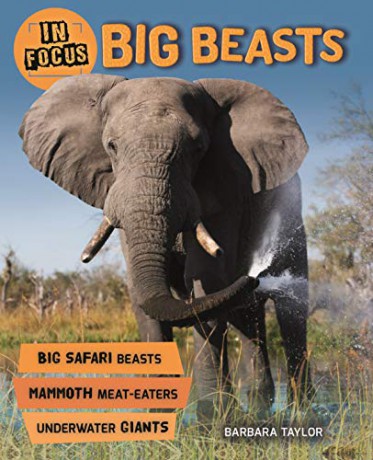 In Focus: Big Beasts - Barbara Taylor [KSIĄŻKA]
