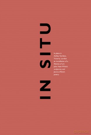 In Situ - Jessica D'Este [KSIĄŻKA]