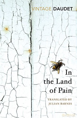 In the Land of Pain (Vintage Classics) - Alphonse Daudet [KSIĄŻKA]