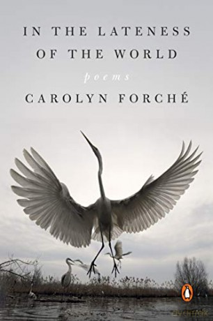 In the Lateness of the World: Poems - Carolyn Forché [KSIĄŻKA]