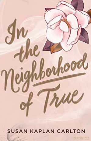 In the Neighborhood of True - Kaplan, Susan Carlton [KSIĄŻKA]