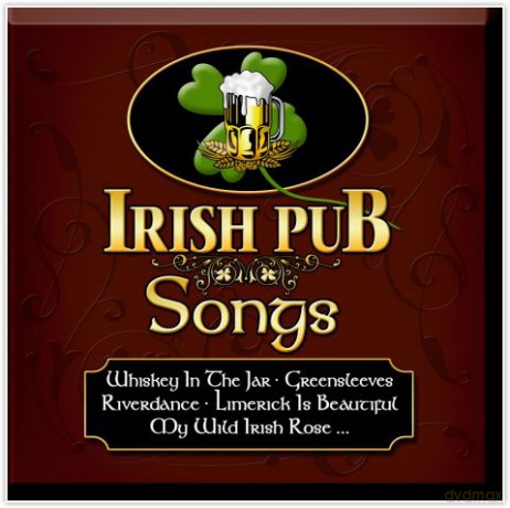 Irish Pub Songs [CD]