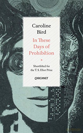 In These Days of Prohibition - Caroline Bird [KSIĄŻKA]