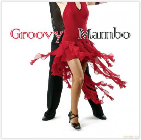 Groovy Mambo [CD]