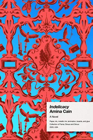 Indelicacy [KSIĄŻKA]