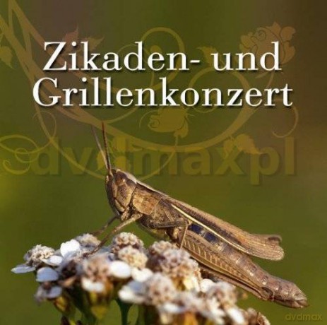 Zikaden Und Grillenkonzert [CD]