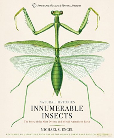 Innumerable Insects: The Story of the Most Diverse and Myriad Animals on Earth (Natural Histories) - Michael S. Engel [KSIĄŻKA]