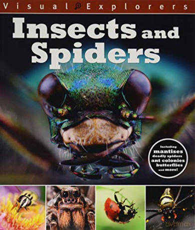 Insects and Spiders (Visual Explorers) - Paul Calver [KSIĄŻKA]