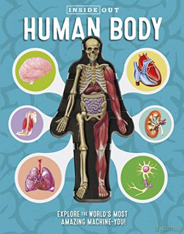 Inside Out Human Body: Explore the World's Most Amazing Machine-You! - Luann Columbo [KSIĄŻKA]