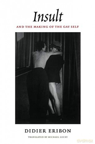 Insult and the Making of the Gay Self (Series Q) - Didier Eribon [KSIĄŻKA]