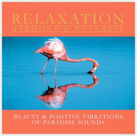 Paradise Sounds [CD]