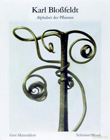 Karl Blossfeldt: Alphabet of Plants: Nachauflage - Karl Blossfeldt [KSIĄŻKA]