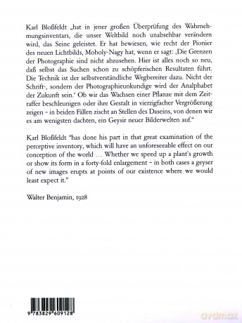 Karl Blossfeldt: Alphabet of Plants: Nachauflage - Karl Blossfeldt [KSIĄŻKA]