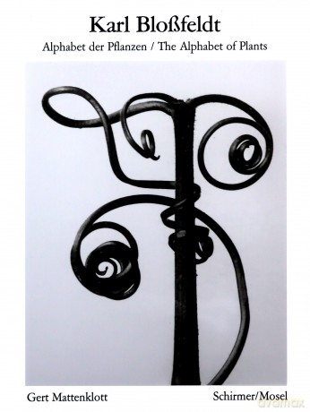 Karl Blossfeldt: Alphabet of Plants: Nachauflage - Karl Blossfeldt [KSIĄŻKA]