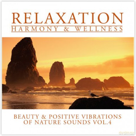 Nature Sounds Vol. 4 [CD]