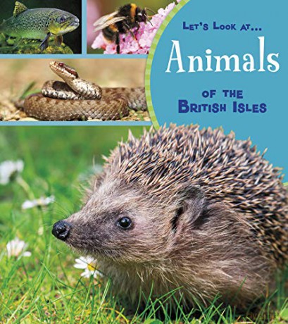 Let's Look At: Animals of the British Isles - Lucy Beevor [KSIĄŻKA]