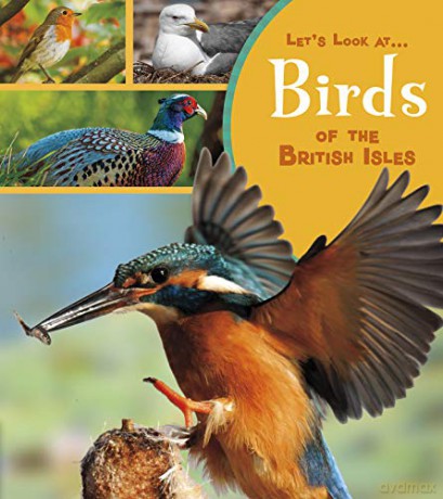 Let's Look At: Birds of the British Isles - Lucy Beevor [KSIĄŻKA]