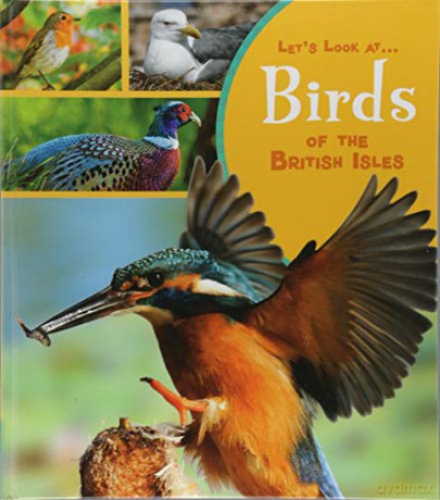 Let's Look At: Birds of the British Isles - Lucy Beevor [KSIĄŻKA]