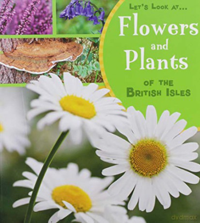 Let's Look At: Flowers and Plants of the British Isles - Lucy Beevor [KSIĄŻKA]