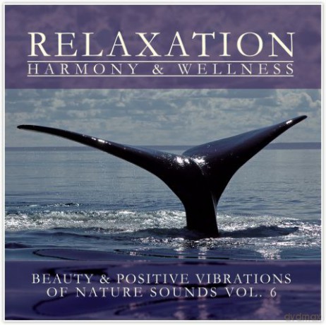 Nature Sounds Vol. 6 [CD]