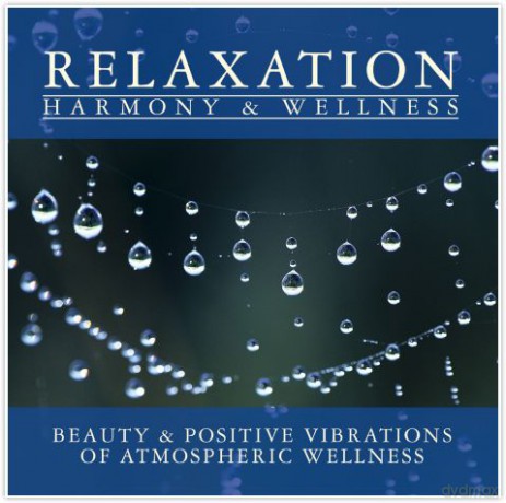Atmospheric Wellness [CD]