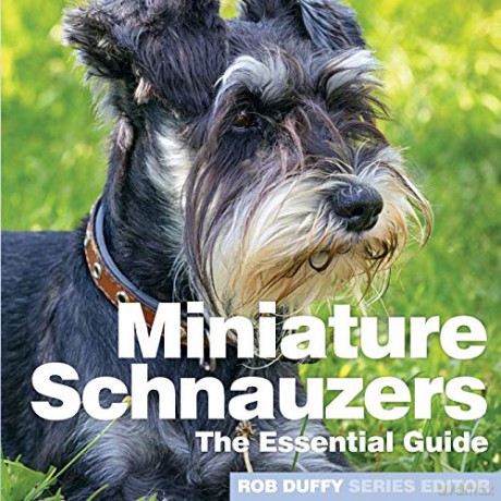 Miniture Schnauzers: The Essential Guide (Need 2 Know Essential Guides) - Robert Duffy [KSIĄŻKA]