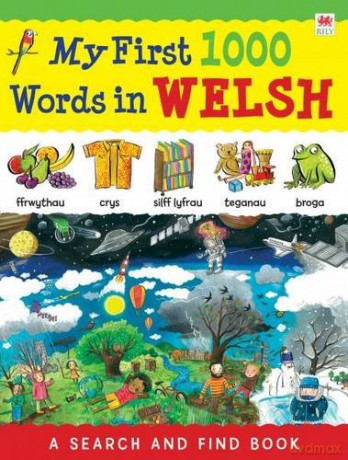My First 1000 Words in Welsh - Sam Hutchinson [KSIĄŻKA]