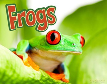On Topic: Frogs - Kelly Gaffney [KSIĄŻKA]