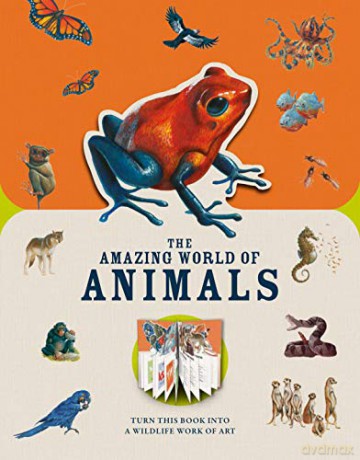 Paperscapes: The Amazing World of Animals - Moira Butterfield [KSIĄŻKA]