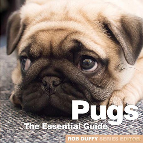 Pugs (Need 2 Know Essential Guides) - Robert Duffy [KSIĄŻKA]