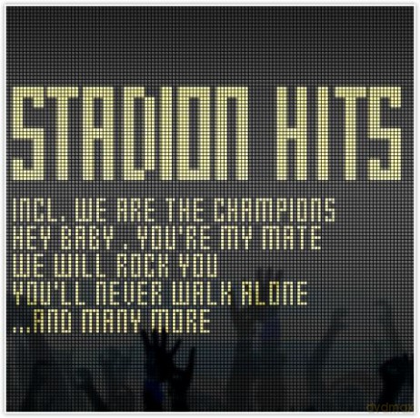 Stadion Hits [CD]