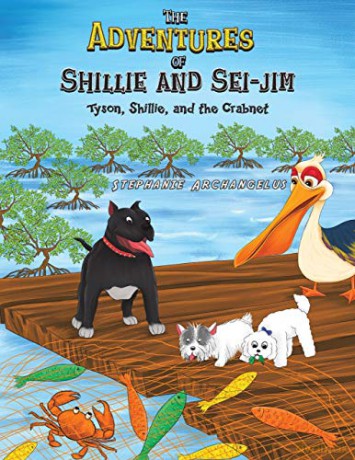 The Adventures of Shillie and Sei-Jim - Stephanie Archangelus [KSIĄŻKA]