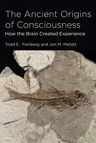 The Ancient Origins of Consciousness (MIT Press): How the Brain Created Experience (The MIT Press) - Todd Feinberg [KSIĄŻKA]