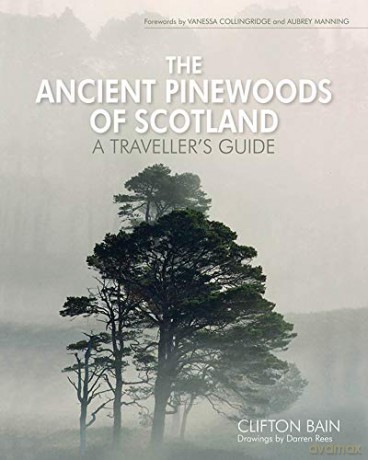 The Ancient Pinewoods of Scotland: A Traveller's Guide - Clifton Bain [KSIĄŻKA]