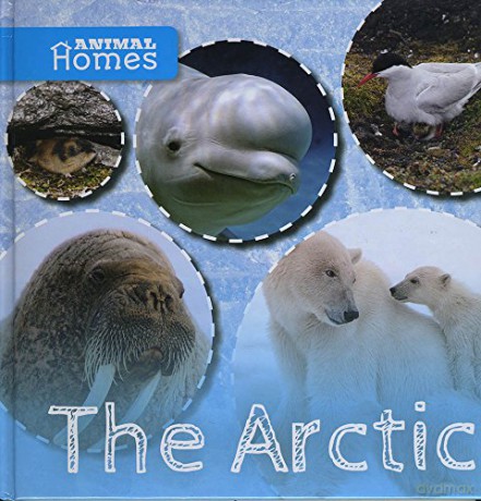 The Arctic (Animal Homes) - Holly Duhig [KSIĄŻKA]