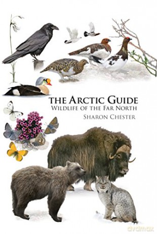 The Arctic Guide: Wildlife of the Far North: 109 (Princeton Field Guides, 109) - Sharon Chester [KSIĄŻKA]