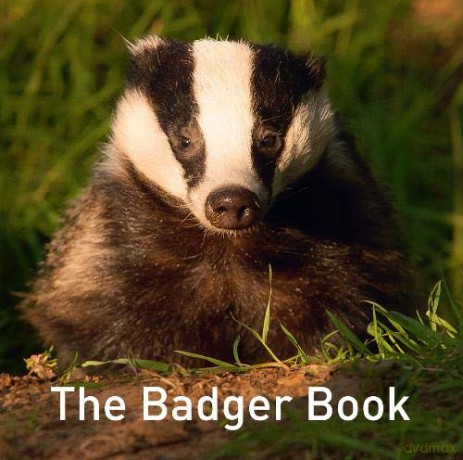 The Badger Book (The Nature Book Series) - Jo Byrne [KSIĄŻKA]