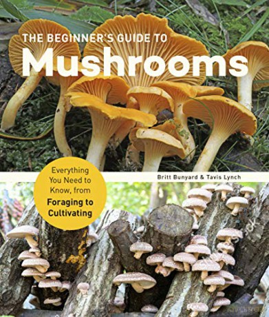 The Beginner's Guide to Mushrooms: Everything You Need to Know, from Foraging to Cultivating - Britt Bunyard [KSIĄŻKA]