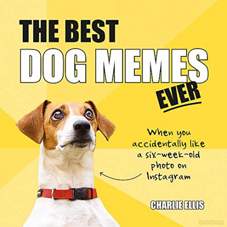 The Best Dog Memes Ever: The Funniest Relatable Memes as Told - Charlie Ellis [KSIĄŻKA]